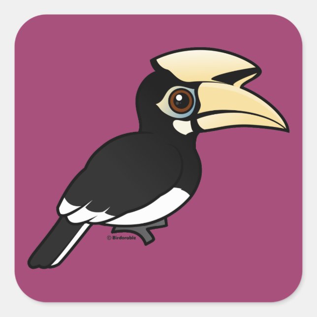 Oriental Pied Hornbill Quadratischer Aufkleber (Vorderseite)