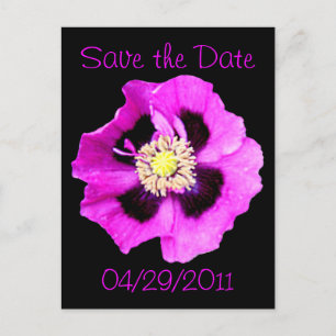 Oriental Poppy "Save the Date" Postkartenschwarz Ankündigungspostkarte