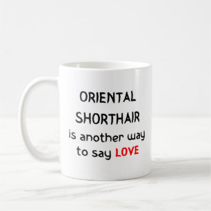oriental shorthair amour café tasse