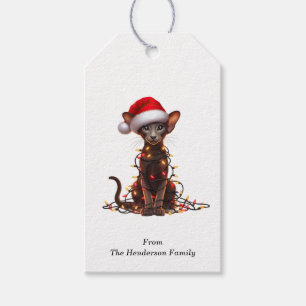 Oriental Shorthair Cat Geschenktastatags Geschenkanhänger