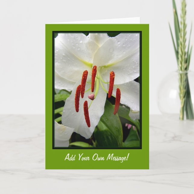 Oriental White Lily Karte (Vorderseite)