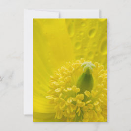 Oriental Yellow Poppy Einladung