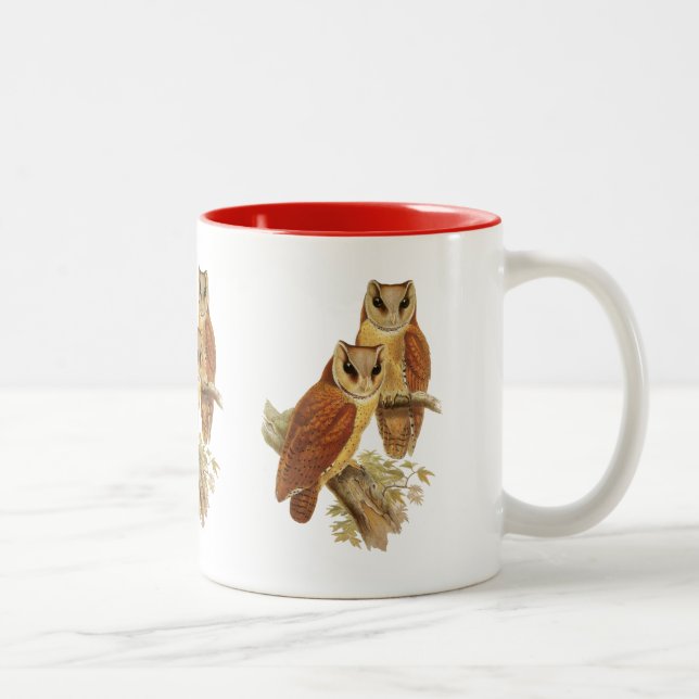 Orientalische Bucht-Eule Zweifarbige Tasse (Rechts)