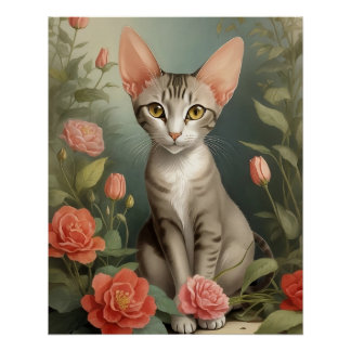 Orientalische Kurzhaarkatze Poster