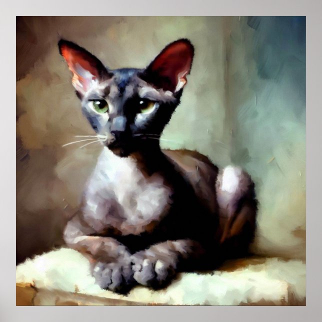 Orientalische Kurzhaarkatze Poster (Vorne)
