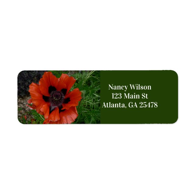 Orientalischer Mohn (Vorne)