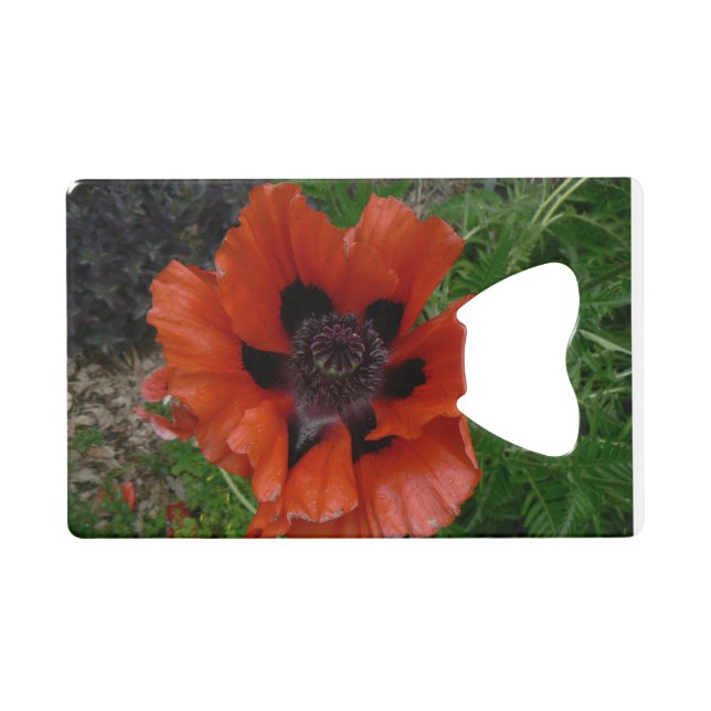 Orientalischer Mohn Geldbeutel Flaschenöffner (Vorderseite (Horizontal))