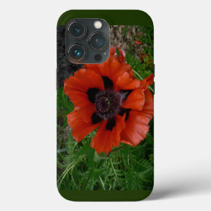 Orientalischer Mohn iPhone 13 Pro Hülle