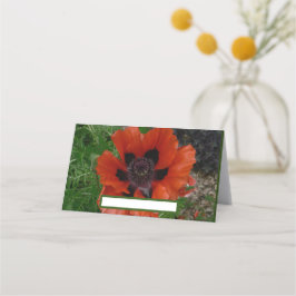 Orientalischer Mohn Platzkarte