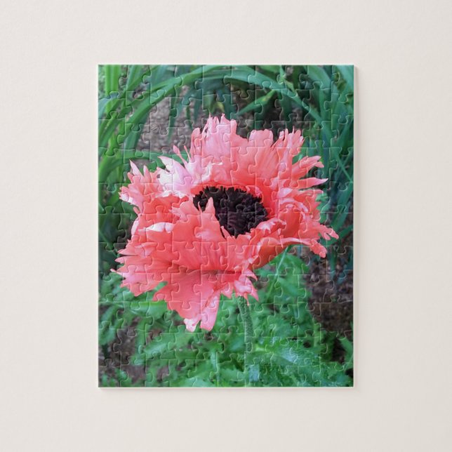 Orientalischer POPPY "Pink Ruffles" — (Vertikal)
