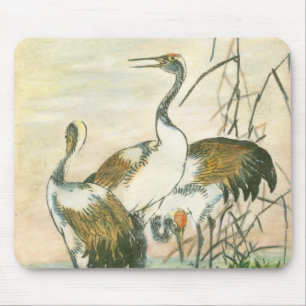 Orientalkrane am Wasser Mousepad
