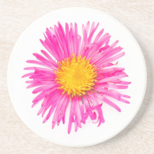 Original cute single PINK FLOWER blossom plant Sandstein Untersetzer