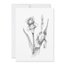 Original handgezeichnete Irisblende, botanische Ku
