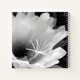 Original Kunst: "Night Bloming Cereus" Notizbuch