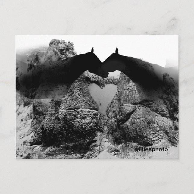 Original Postkarten (Vorderseite)