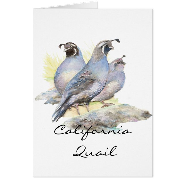 Original Wasserfarbe California Quail. Bird (Vorne)
