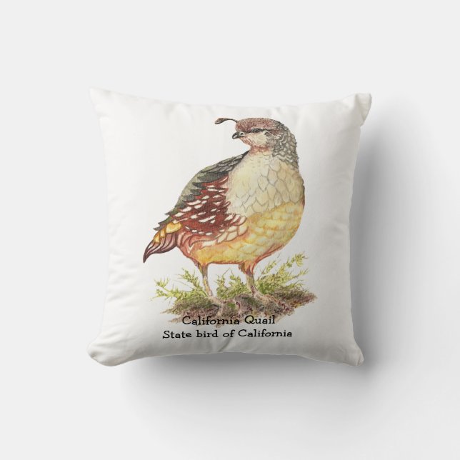 Original Watercolor California Quail Staat Bird Kissen (Vorderseite)