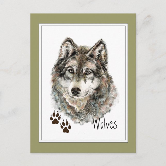 Original Watercolor Grau Wolf - Tracks Animal Postkarte (Vorderseite)