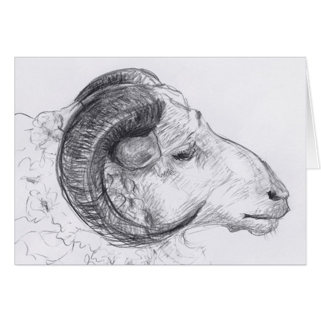 Original Zeichnend Grußkarte am Ram Head (Vorderseite (Horizontal))