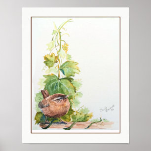 Originale Aquarellkunst Pazifischer Zaunkönig Voge Poster