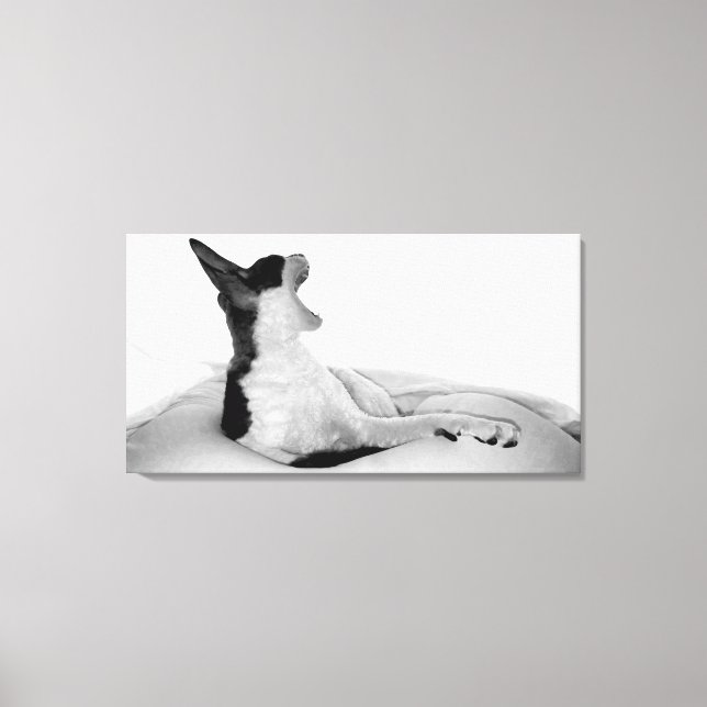 Originale Kunst: "Kitsa Diva" Leinwanddruck (Vorderseite)