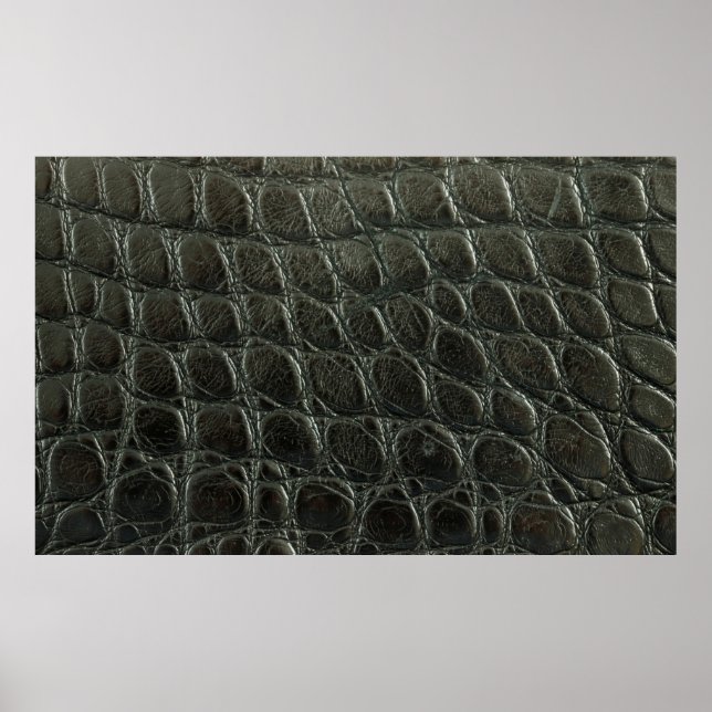 Originelle schwarze Alligatorledertextur, nah Poster (Vorne)