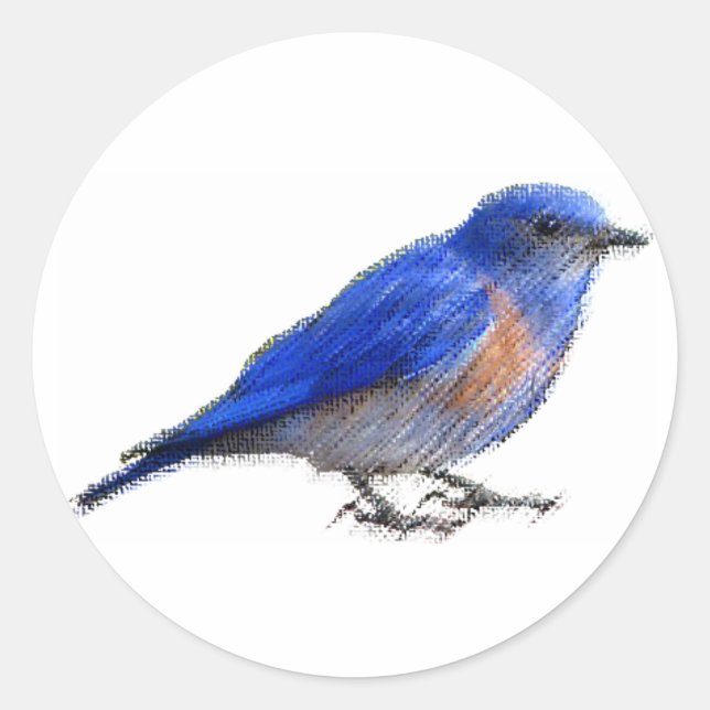Originelle Skizze eines Blauvogels (Blauvogel) Runder Aufkleber (Vorderseite)