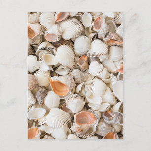 Originelles Naturmuster Seashell Stil Hintergrund Postkarte