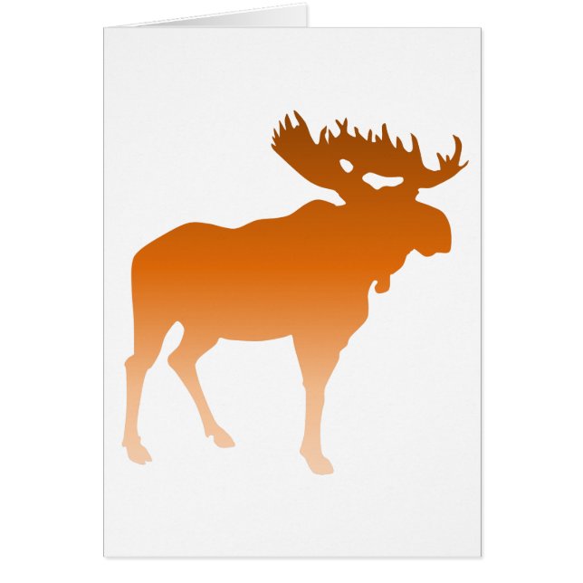 Orignaux oranges (Devant)