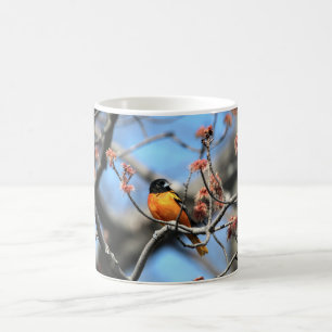 Oriole-Kaffee-Tasse Kaffeetasse