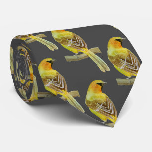 Oriole Krawatte