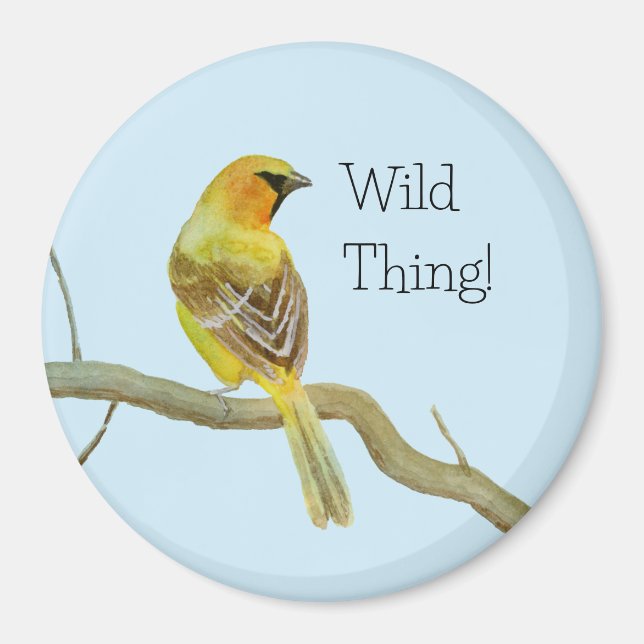 Oriole Magnet (Vorne)