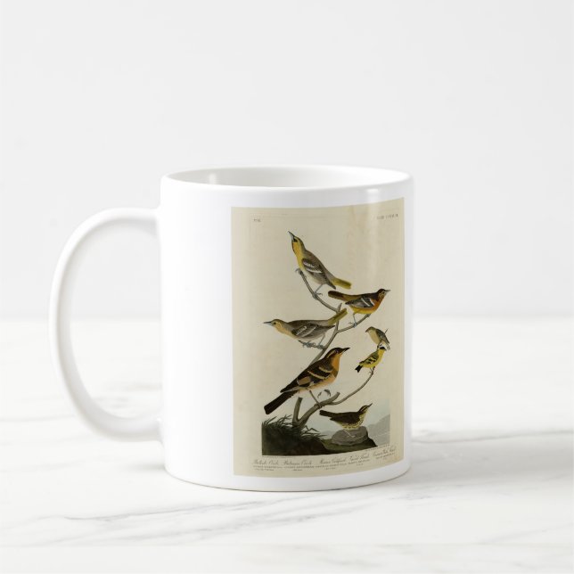 Orioles, Thrushes, von Audubons Vögeln von Amerika Kaffeetasse (Links)