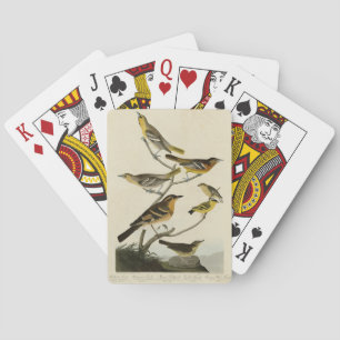 Orioles, Thrushes, von Audubons Vögeln von Amerika Spielkarten