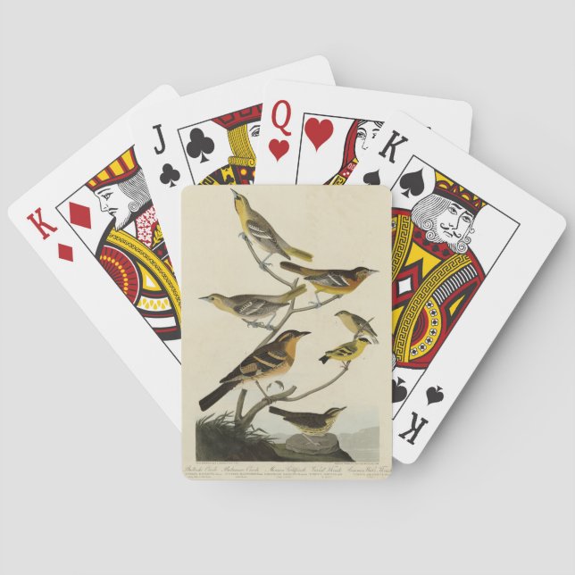 Orioles, Thrushes, von Audubons Vögeln von Amerika Spielkarten (Rückseite)