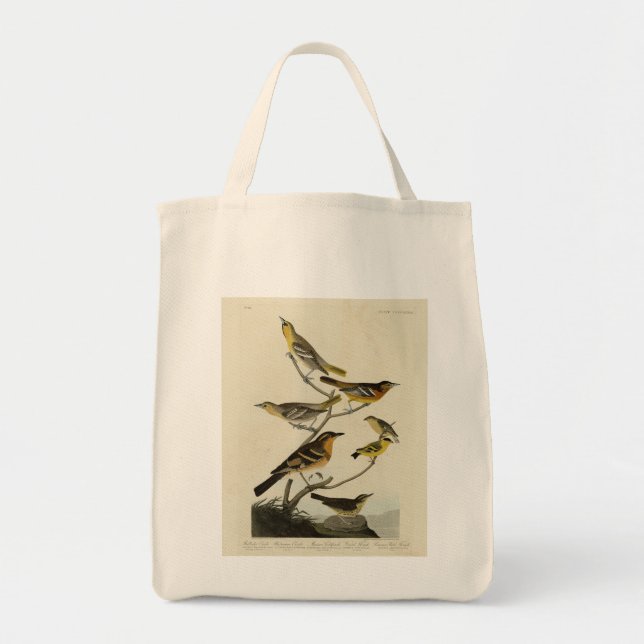 Orioles, Thrushes, von Audubons Vögeln von Amerika Tragetasche (Vorne)