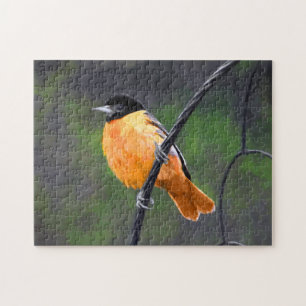 Oriolmalerei - Original Vogelkunst