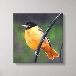 Oriolmalerei - Original Vogelkunst Leinwanddruck