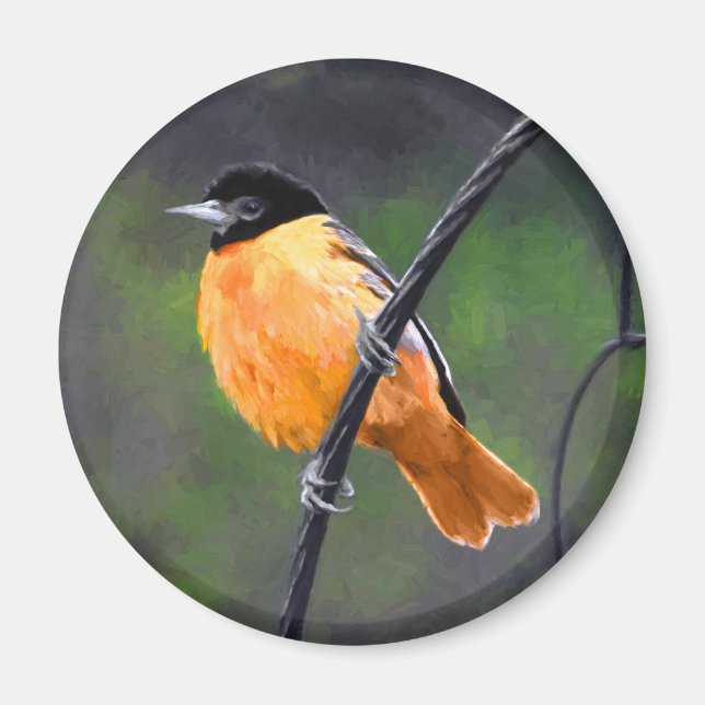 Oriolmalerei - Original Vogelkunst Magnet (Vorne)