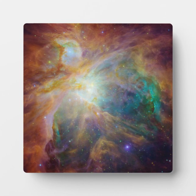 Orion Nebula Fotoplatte (Vorderseite)