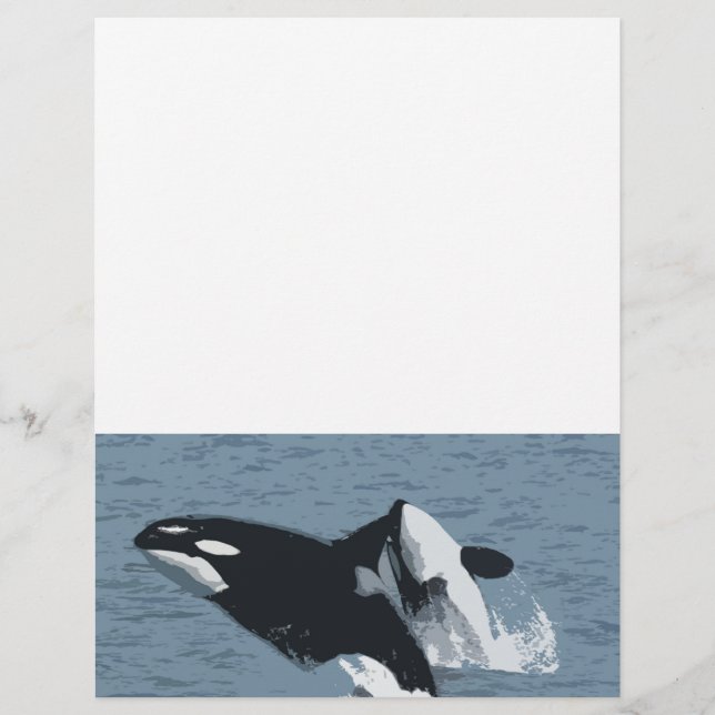 Orka Wal (Vorderseite)