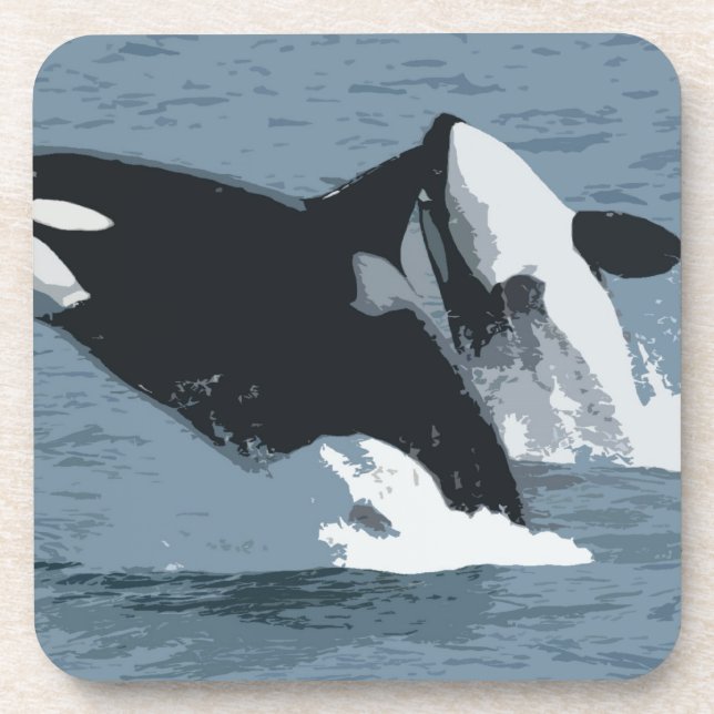 Orka Wal Getränkeuntersetzer (Vorderseite)