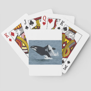 Orka Wal Spielkarten