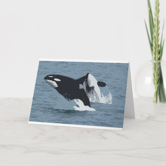 Orka Whale Karte (Vorderseite)