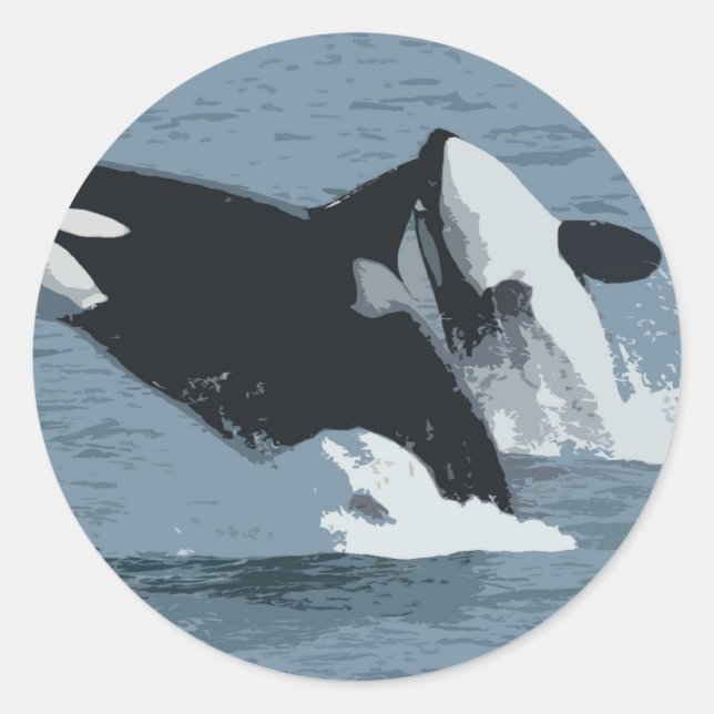 Orka Whale Runder Aufkleber (Vorderseite)