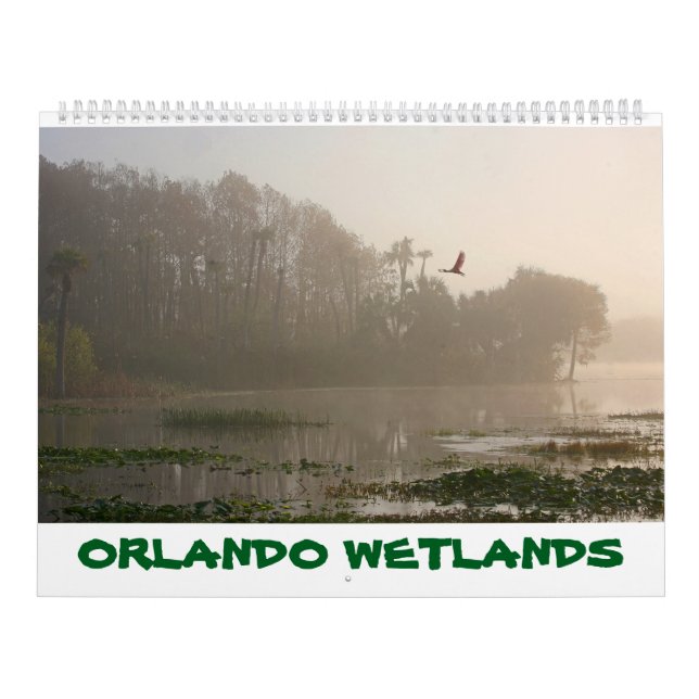 ORLANDO FEUCHTGEBIETE KALENDER (Titelbild)