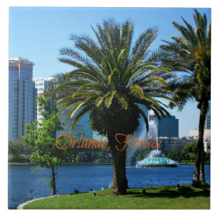 Orlando Florida Cityscape Fliese