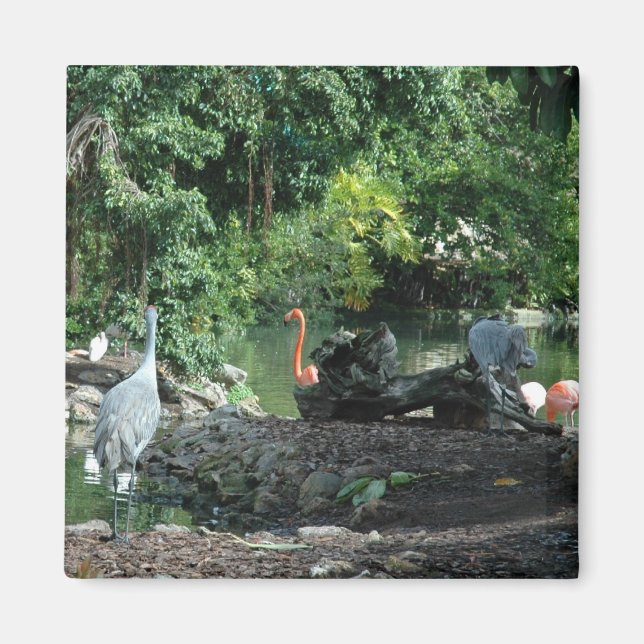 Orlando Florida Magnet (Vorne)