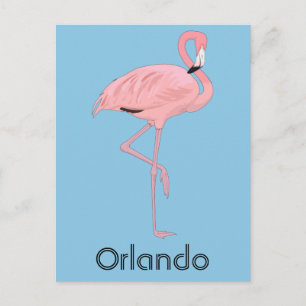 Orlando Florida Pink Flamingo Postkarte
