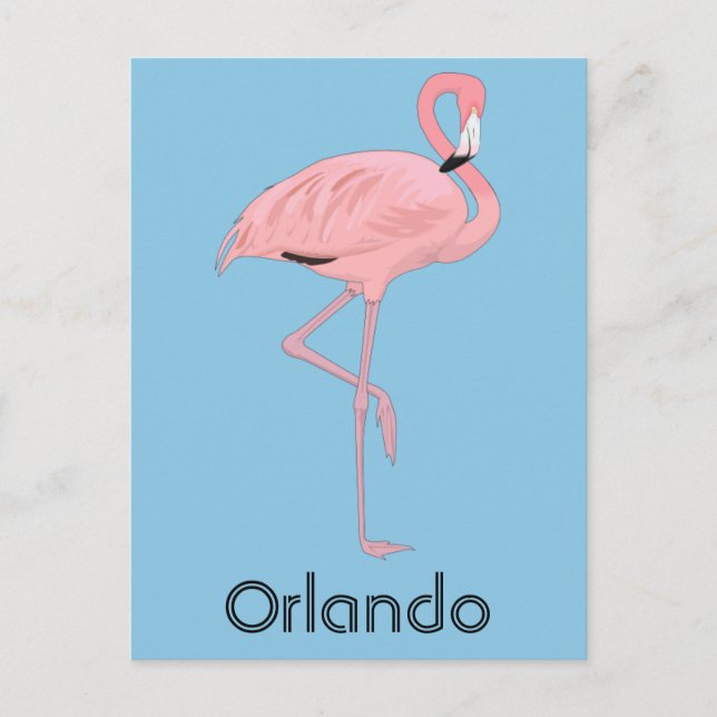Orlando Florida Pink Flamingo Postkarte (Vorderseite)